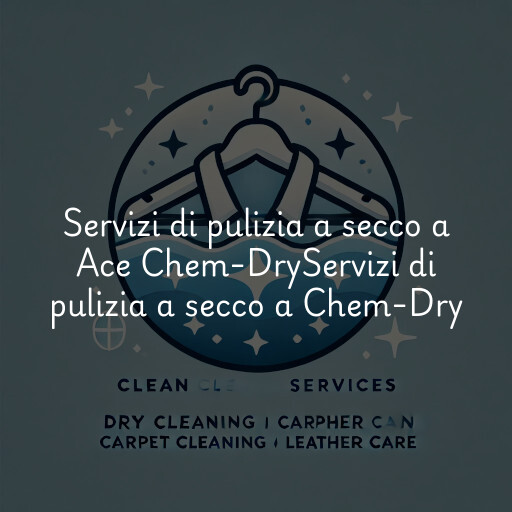 Servizi di pulizia a secco a