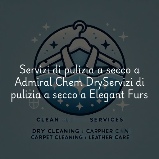 Servizi di pulizia a secco a