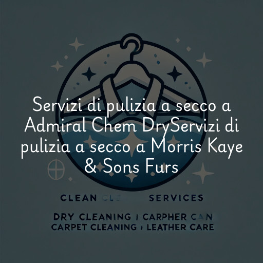 Servizi di pulizia a secco a