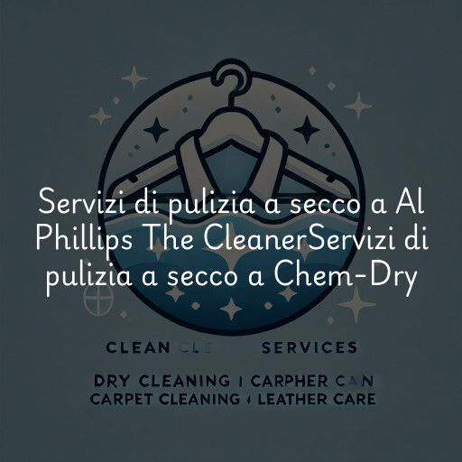 Servizi di pulizia a secco a