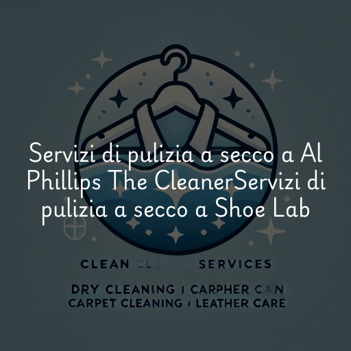 Servizi di pulizia a secco a