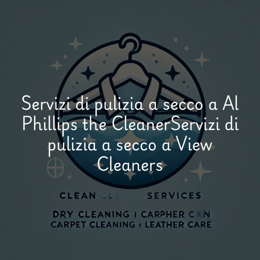 Servizi di pulizia a secco a
