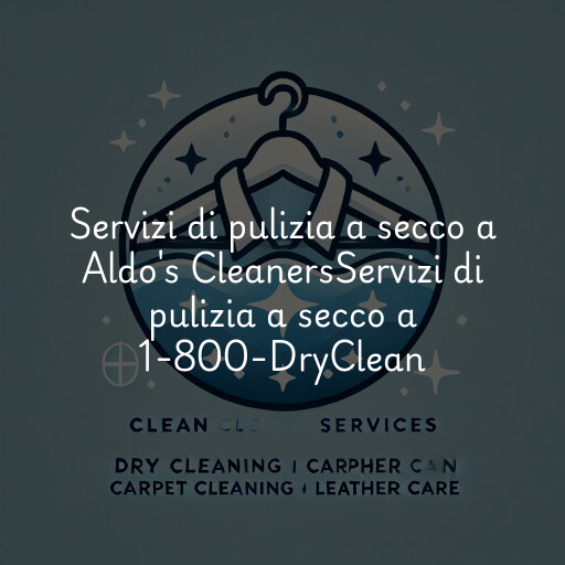 Servizi di pulizia a secco a