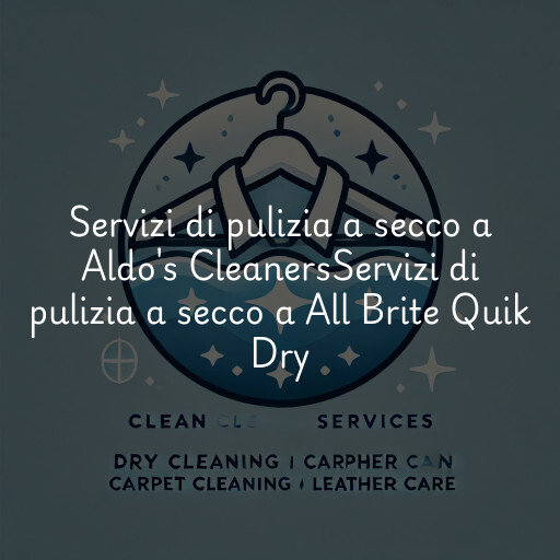 Servizi di pulizia a secco a