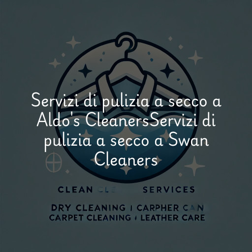Servizi di pulizia a secco a