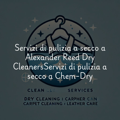 Servizi di pulizia a secco a