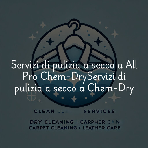 Servizi di pulizia a secco a