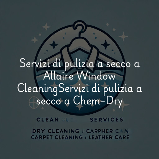 Servizi di pulizia a secco a