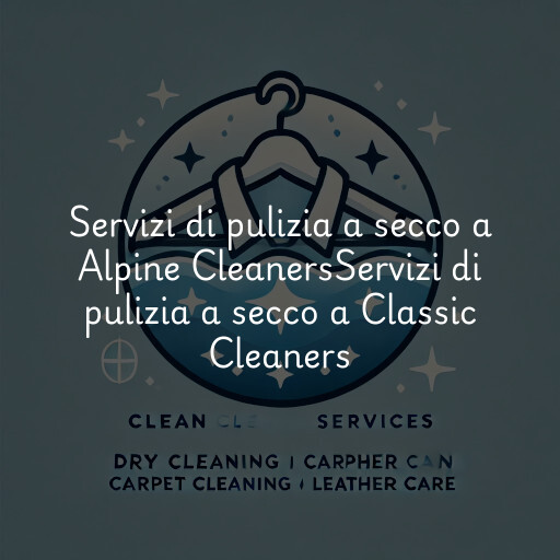 Servizi di pulizia a secco a