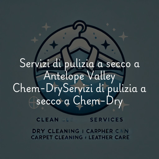 Servizi di pulizia a secco a