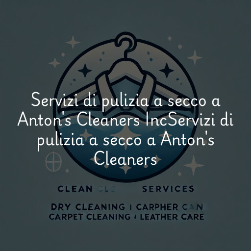 Servizi di pulizia a secco a