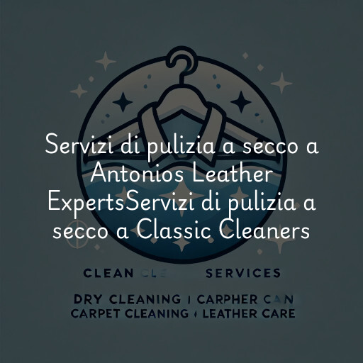 Servizi di pulizia a secco a