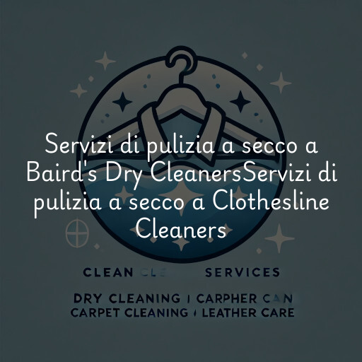 Servizi di pulizia a secco a