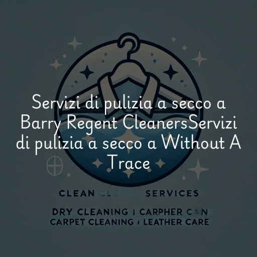 Servizi di pulizia a secco a