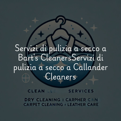 Servizi di pulizia a secco a