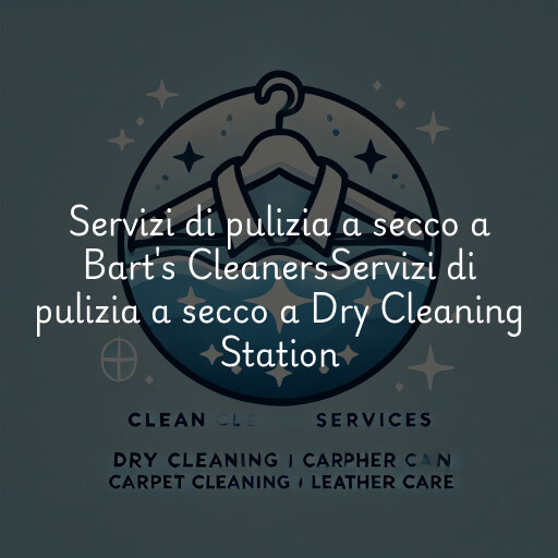 Servizi di pulizia a secco a