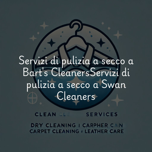 Servizi di pulizia a secco a