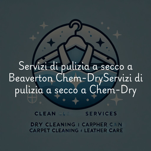 Servizi di pulizia a secco a