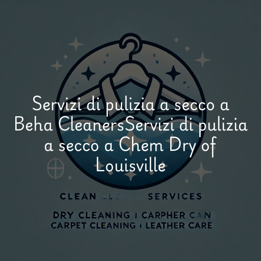 Servizi di pulizia a secco a