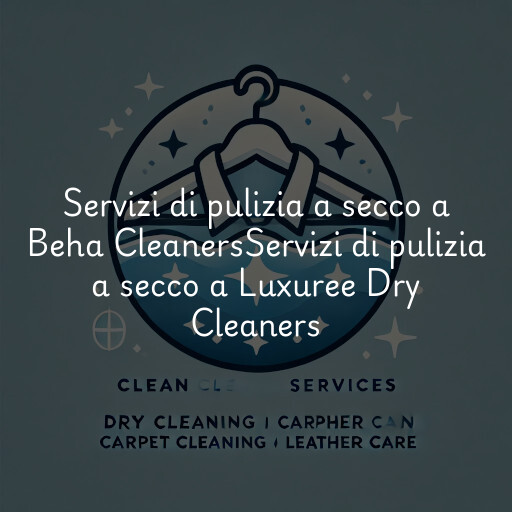 Servizi di pulizia a secco a