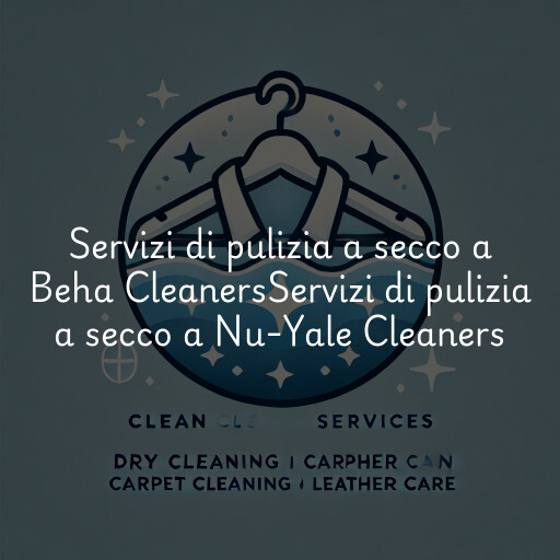 Servizi di pulizia a secco a