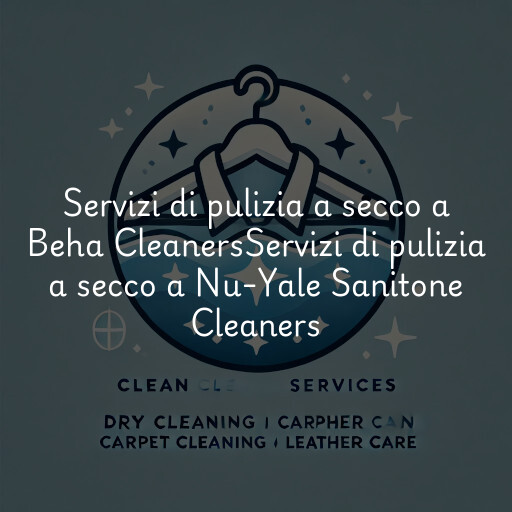 Servizi di pulizia a secco a