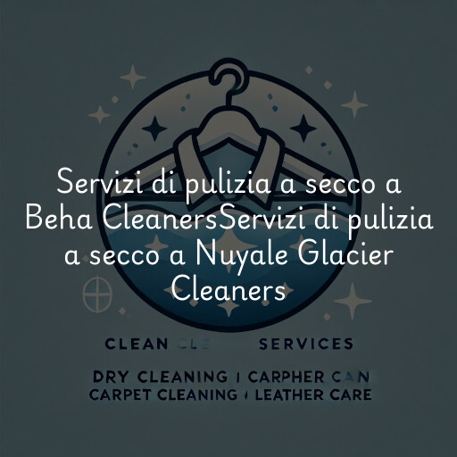 Servizi di pulizia a secco a