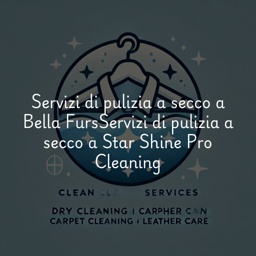 Servizi di pulizia a secco a