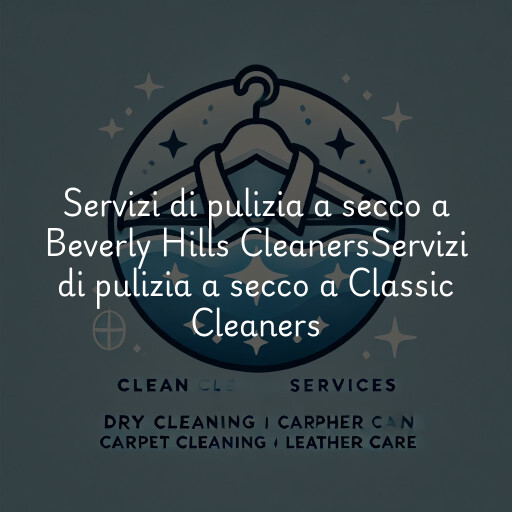 Servizi di pulizia a secco a