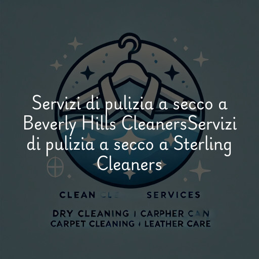 Servizi di pulizia a secco a