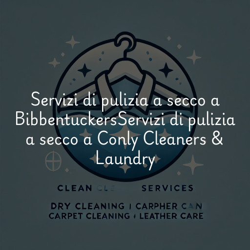 Servizi di pulizia a secco a