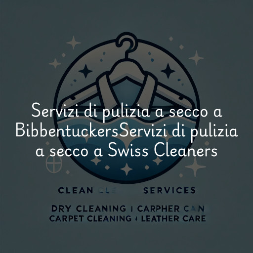Servizi di pulizia a secco a