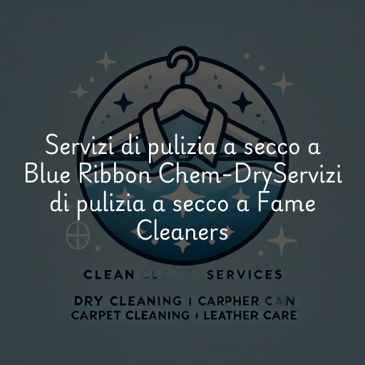 Servizi di pulizia a secco a