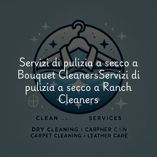 Servizi di pulizia a secco a
