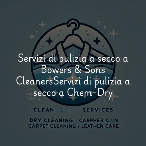 Servizi di pulizia a secco a