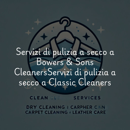 Servizi di pulizia a secco a
