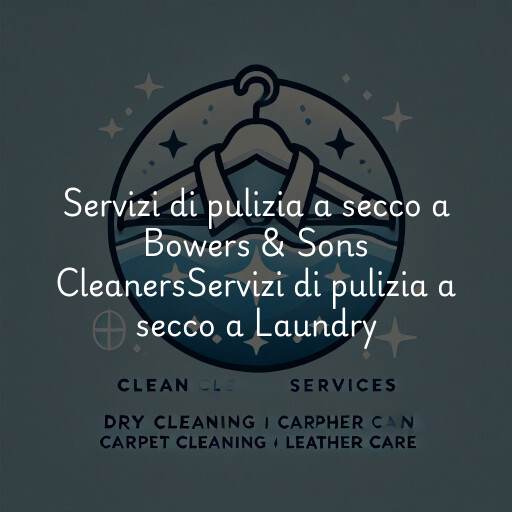 Servizi di pulizia a secco a