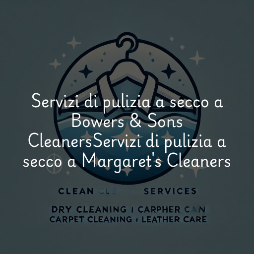 Servizi di pulizia a secco a