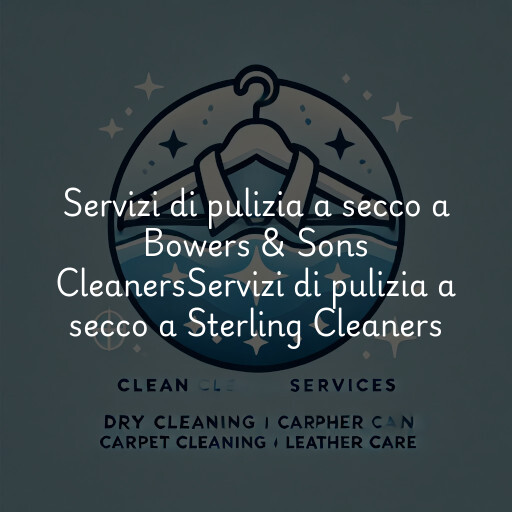 Servizi di pulizia a secco a