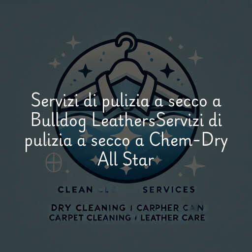 Servizi di pulizia a secco a