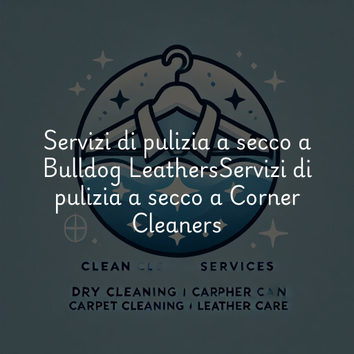 Servizi di pulizia a secco a