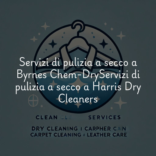 Servizi di pulizia a secco a