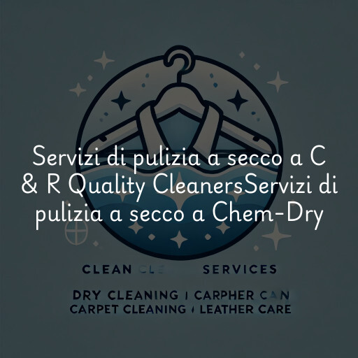Servizi di pulizia a secco a