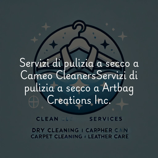 Servizi di pulizia a secco a
