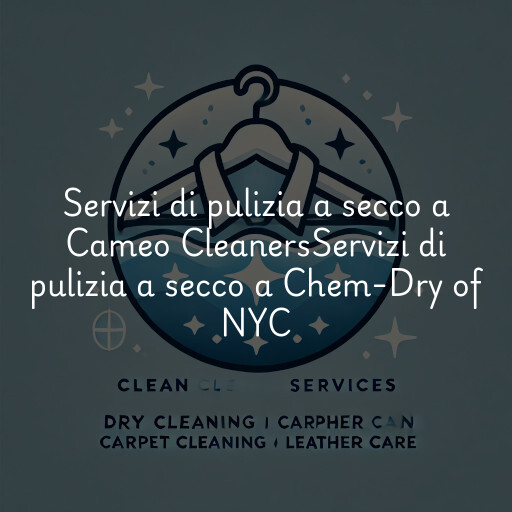 Servizi di pulizia a secco a
