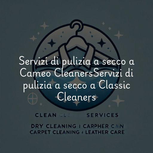 Servizi di pulizia a secco a