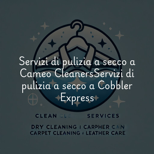 Servizi di pulizia a secco a