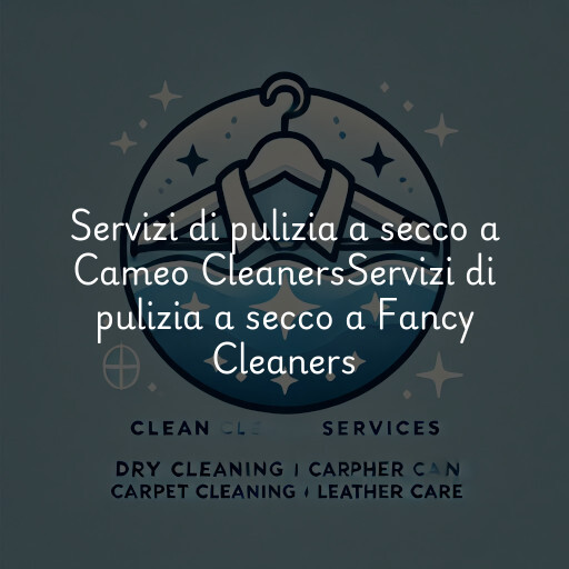 Servizi di pulizia a secco a