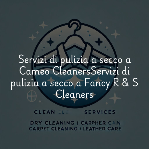 Servizi di pulizia a secco a