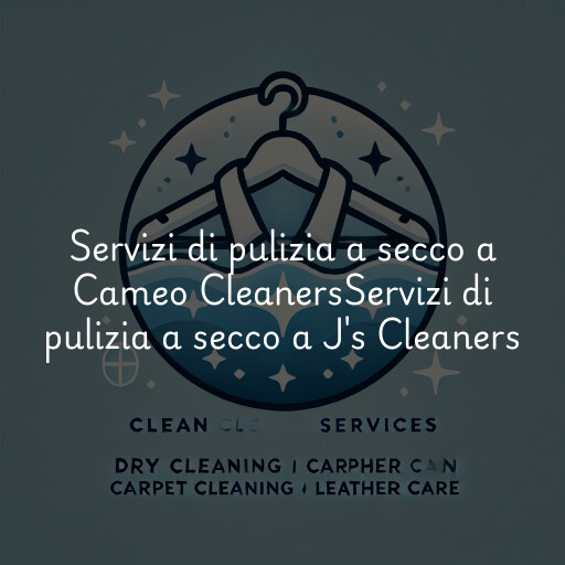 Servizi di pulizia a secco a
